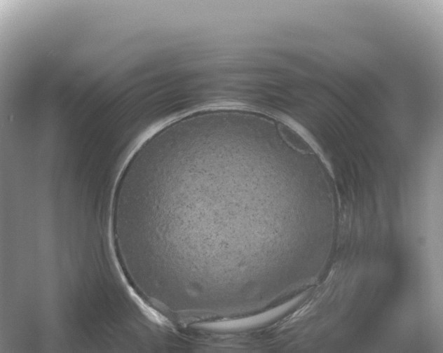 X0000054391245200508051639