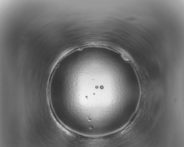 X0000054391247200508051639