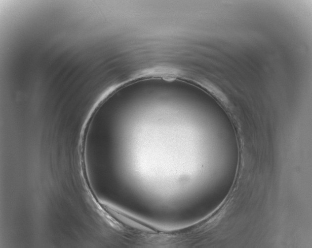 X0000054391248200508051639