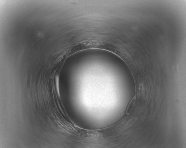 X0000054391250200508051638