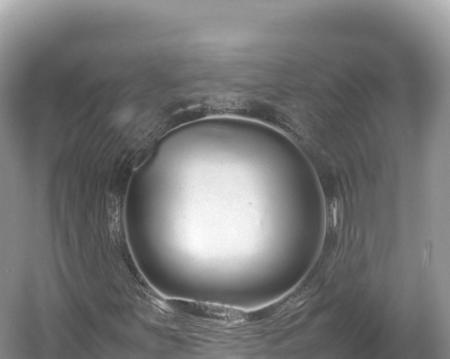 X0000054391251200508051638