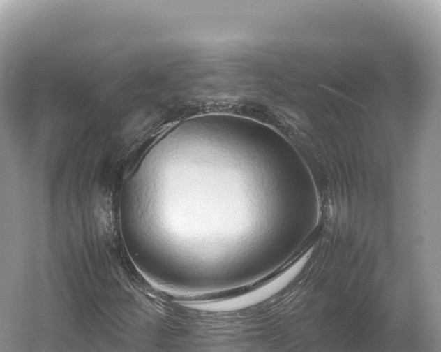 X0000054391252200508051638