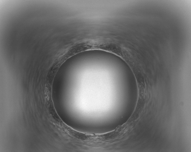 X0000054391253200508051638