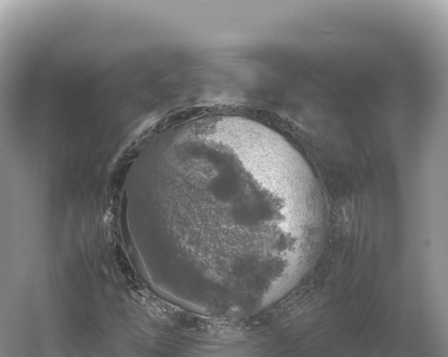 X0000054391254200508051638