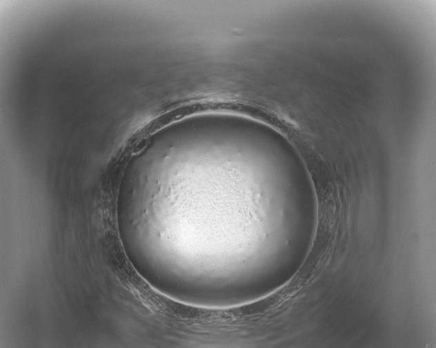 X0000054391255200508051638