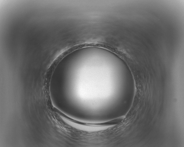 X0000054391256200508051638