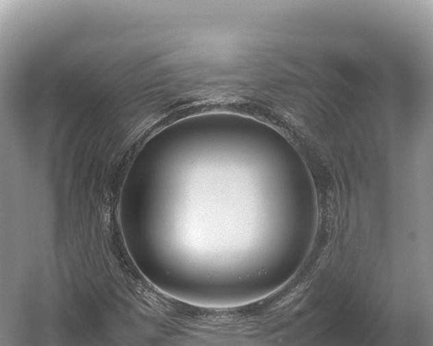 X0000054391257200508051638