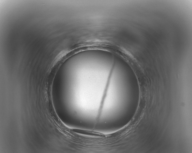 X0000054391259200508051638