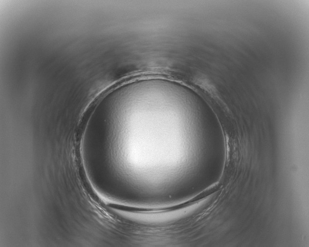 X0000054391260200508051638