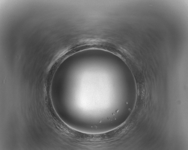 X0000054391261200508051638