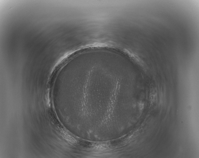 X0000054391262200508051638