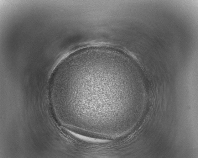 X0000054391263200508051638