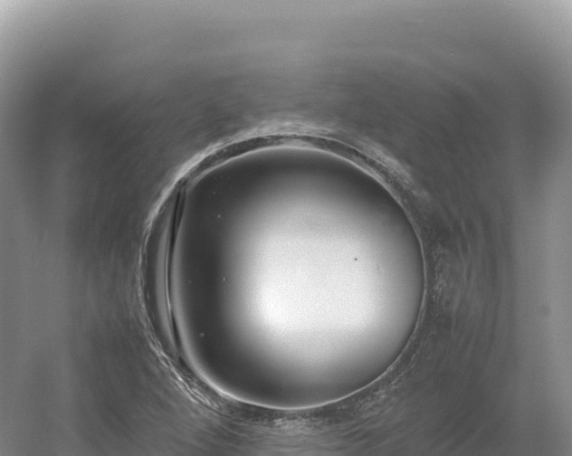 X0000054391264200508051638