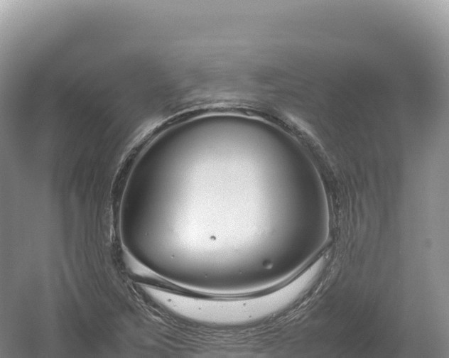 X0000054391267200508051638