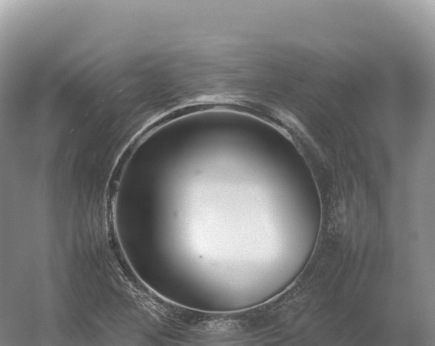 X0000054391268200508051638