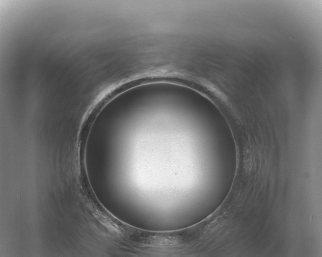 X0000054391270200508051638