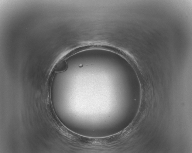 X0000054391271200508051638