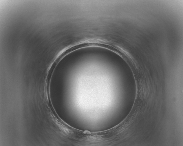 X0000054391272200508051638