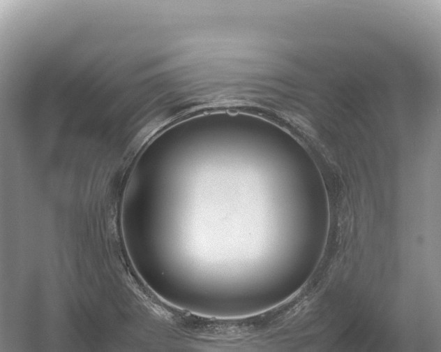 X0000054391273200508051638