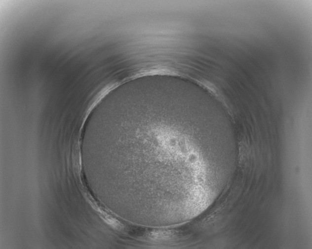 X0000054391274200508051638