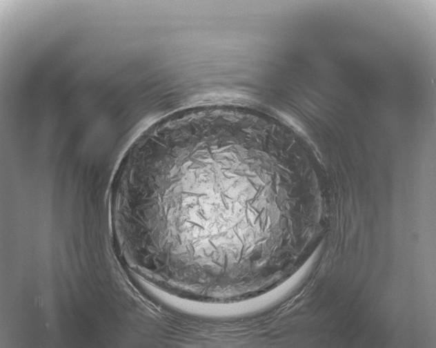 X0000054391275200508051638