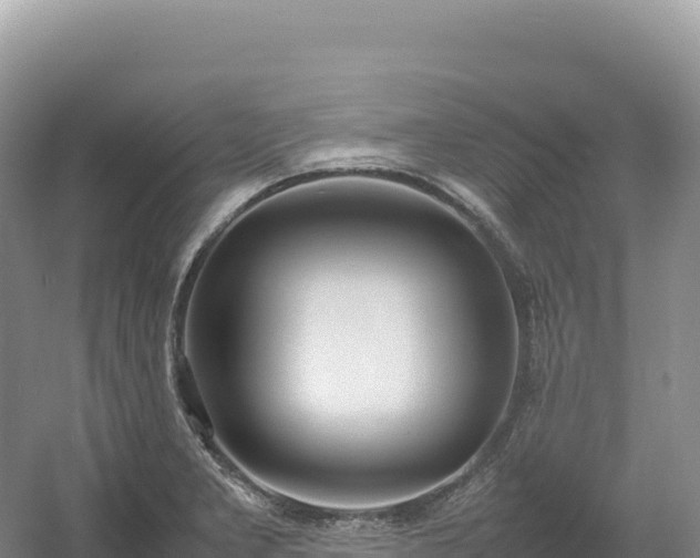 X0000054391277200508051638