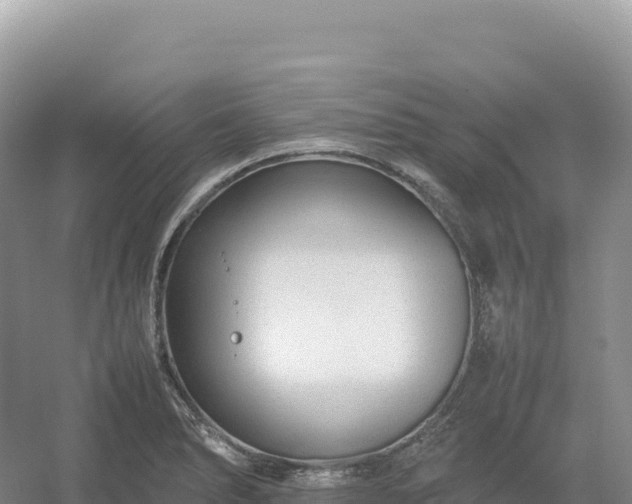 X0000054391278200508051638