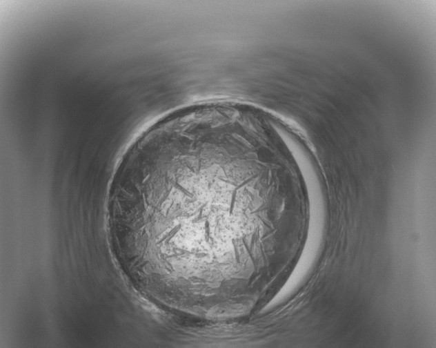 X0000054391279200508051638