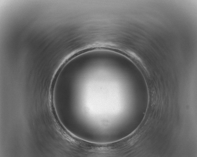 X0000054391280200508051638