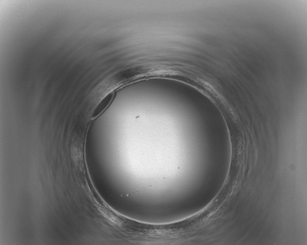 X0000054391281200508051638