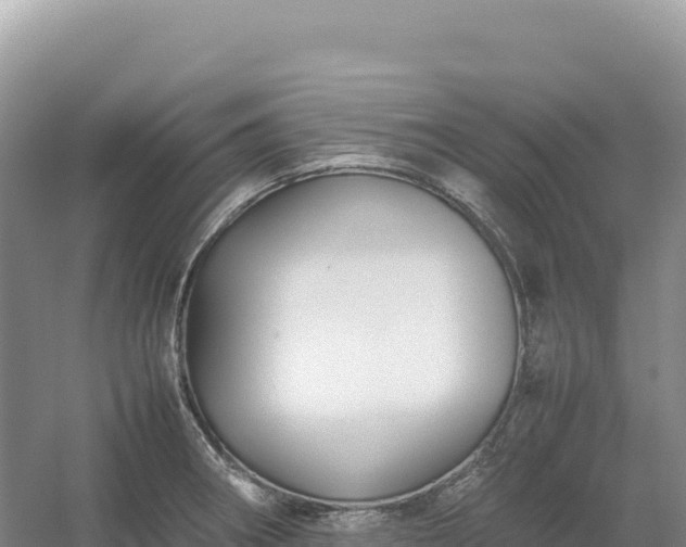 X0000054391282200508051638