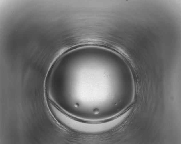 X0000054391283200508051638