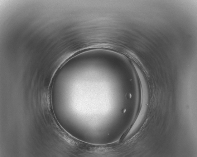 X0000054391284200508051638