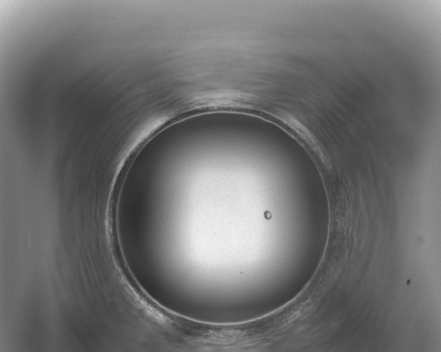 X0000054391285200508051638