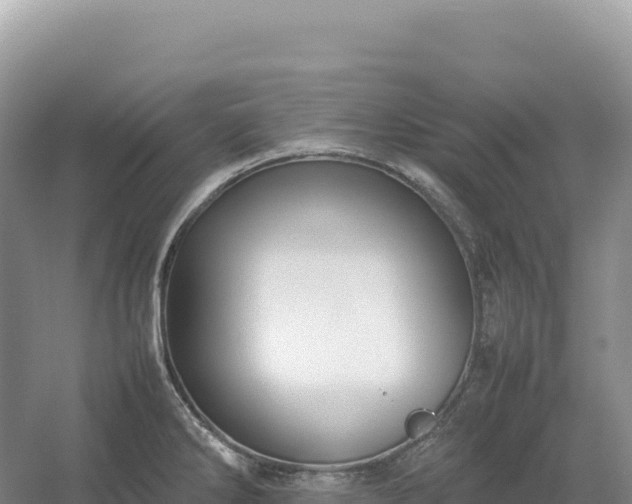 X0000054391286200508051638