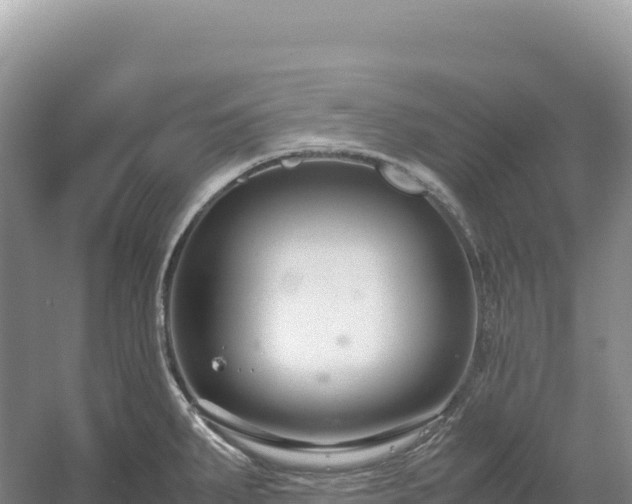 X0000054391287200508051638