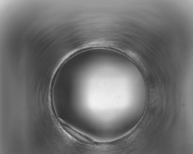 X0000054391288200508051638