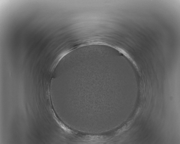 X0000054391289200508051638