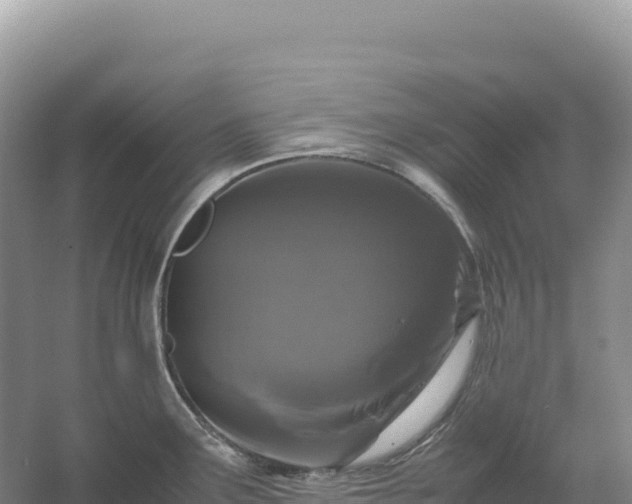 X0000054391291200508051638