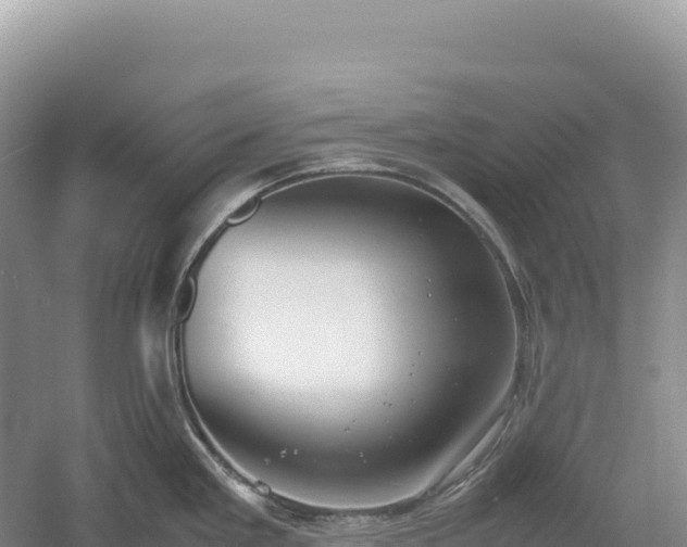 X0000054391293200508051638