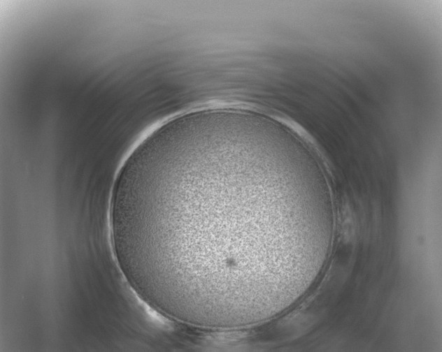 X0000054391294200508051638