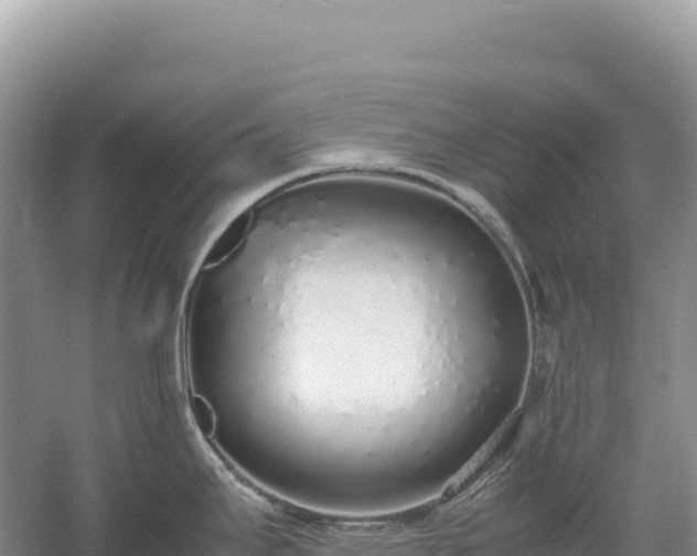 X0000054391295200508051637