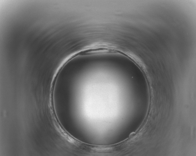 X0000054391296200508051637