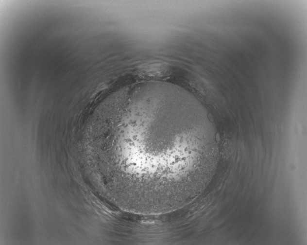 X0000054391297200508051637