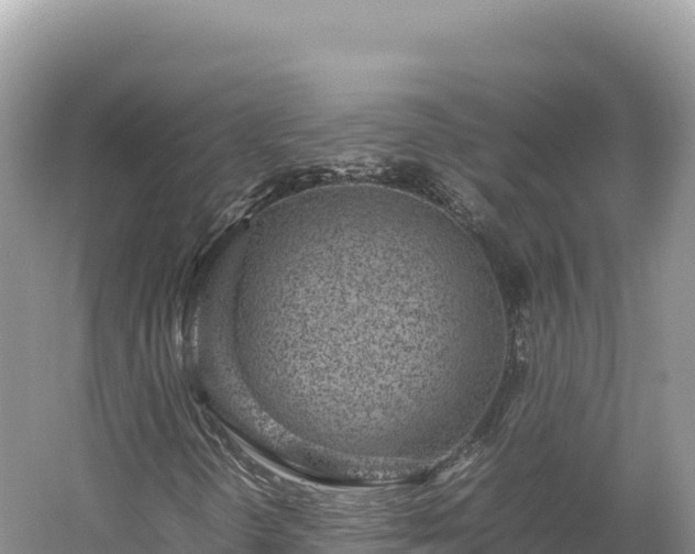 X0000054391298200508051637