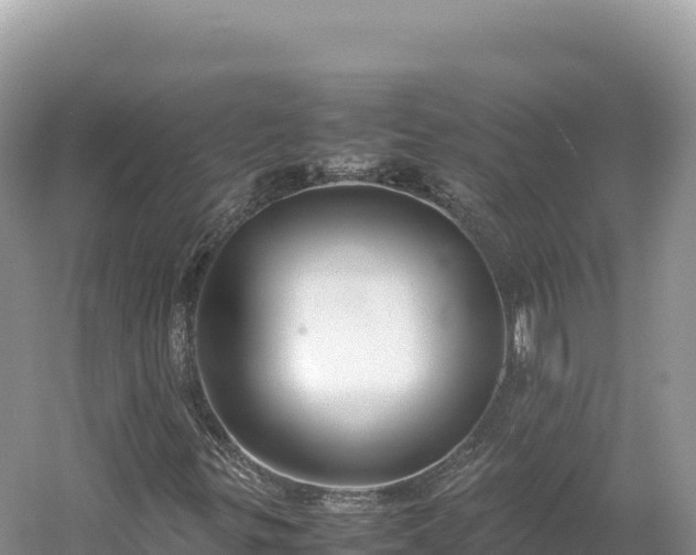 X0000054391299200508051637