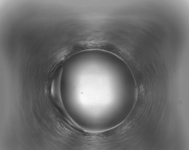 X0000054391300200508051637