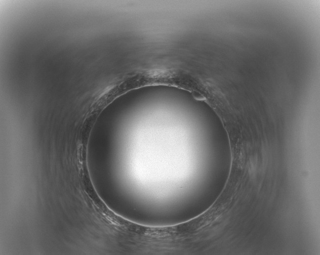 X0000054391301200508051637