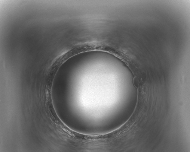 X0000054391302200508051637