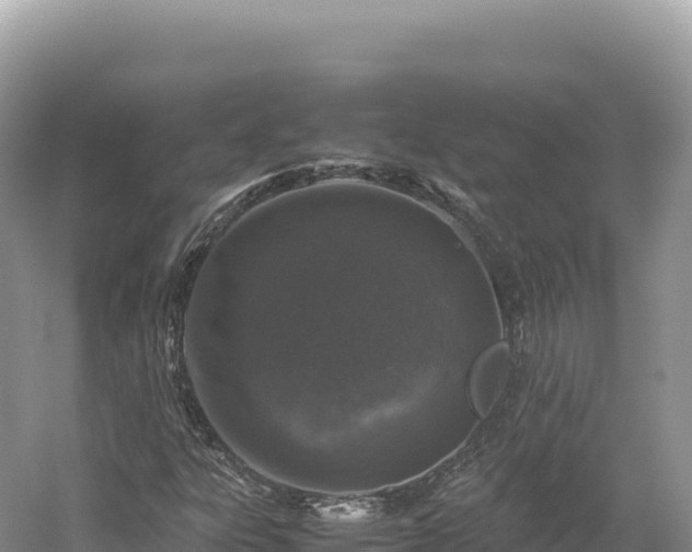 X0000054391303200508051637